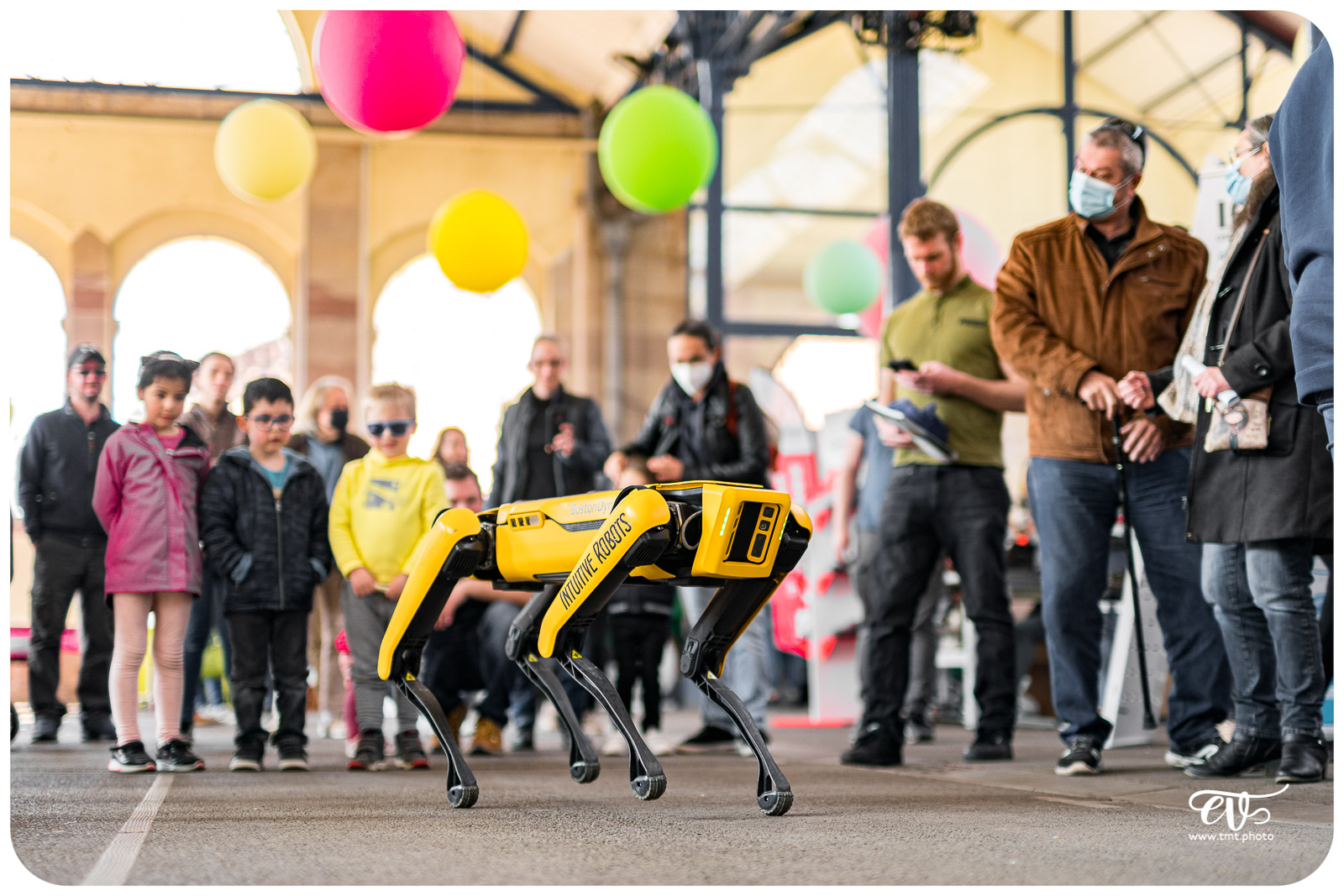 SPOT (BOSTON DYNAMICS)